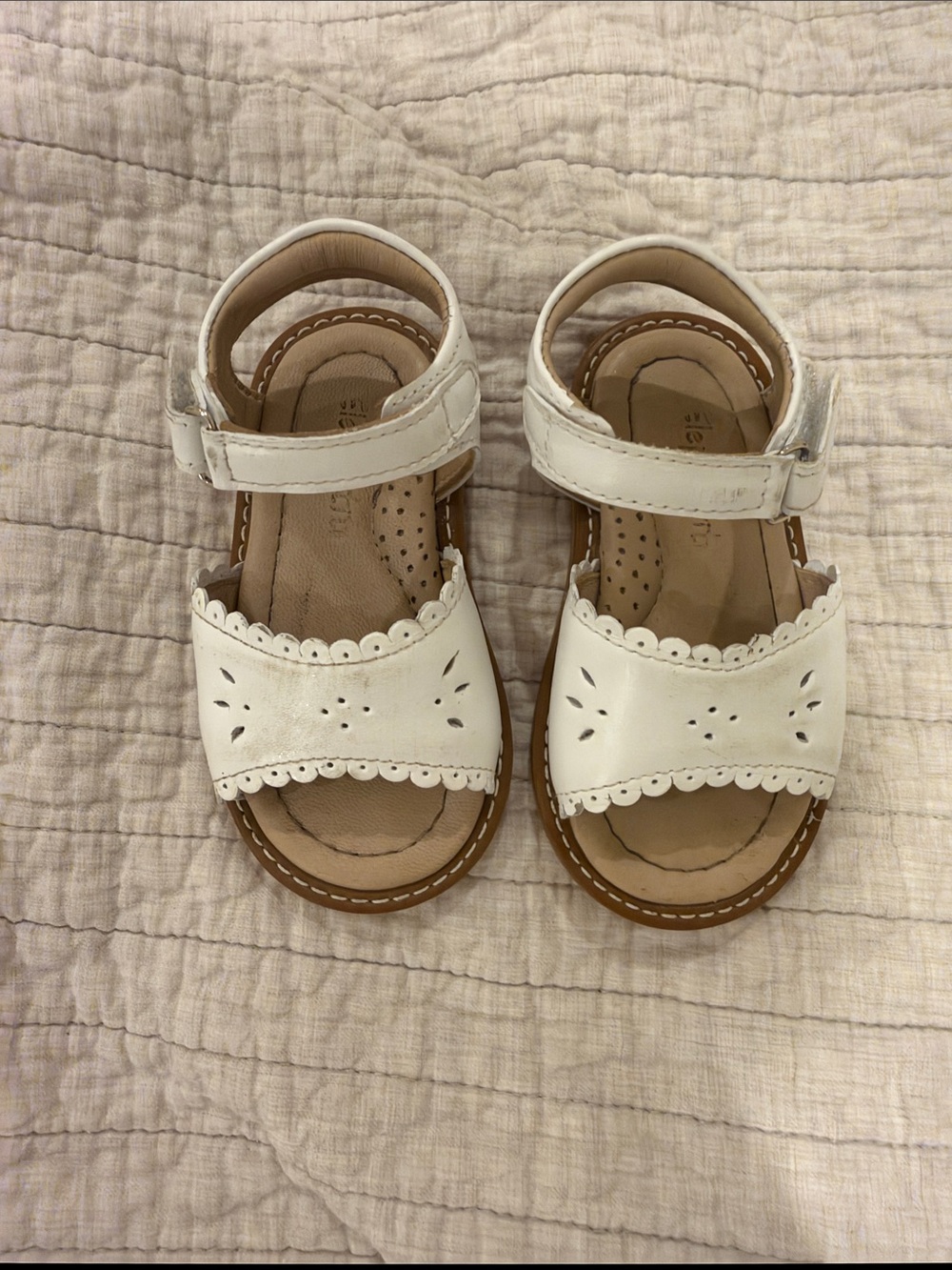 Elephantito White Scalloped Strap Toddler Sandals